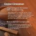 Socotra Health Ceylon Cinnamon - Certified Organic - Non-GMO - Gluten Free - Supports Healthy Metabolism - Antioxidant Benefits - Natural Energy Supplement - 60 Vegan Capsules - Buy Online on GoSupps.com