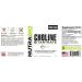 NutraBio Choline Bitartrate 550mg - 90 Veg Capsules | Cognitive Health & Mental Acuity Support - Buy Online on GoSupps.com