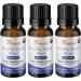 OraWellness Shine Teeth Whitening Powder & Healthy Mouth Blend Tooth Oil Set - Cinnamon Flavor - Buy Online on GoSupps.com