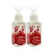 Bath & Body Works Japanese Cherry Blossom Gentle Foaming Hand Soap - 2-Pack, 8.75 Fl Oz - Buy Online on GoSupps.com