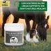 Biteback 'Sweet Relief Silver' Cream 500g - Antiseptic for Dogs & Horses - Ideal for Minor Abrasions - Skin Revival Formula - Buy Online on GoSupps.com