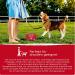 24-Part Dog & Cat First Aid Set | Essential Travel Pharmacy & Emergency Health Products - Buy Online on GoSupps.com