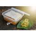 300 g Organic Raw Acacia Honeycomb Natural Pure Fresh Directly from The hive Handmade Absolutely Real Product. (300) 300 g (Pack of 1) - Buy Online on GoSupps.com