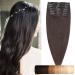 SEGO Clip in Extensions Real Hair 8 Piece Set Hair Extension Hairpiece Remy Heat Resistant Straight Dark Brown#2 20"(50cm)-80 g