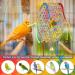 Bird Parrot Toys Swing with Hanging Bell - 2 Pack for Small Parakeets, Cockatiels, Conures, Love Birds, Finches | AK KYC - Buy Online on GoSupps.com