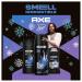 AXE Gift Set for Men - Phoenix Fresh Body Care | AXE Body Wash Spray & Antiperspirant | 48H Odor Protection Mint & Rosemary Scent - Buy Online on GoSupps.com