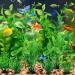 PietyPet Artificial Aquarium Plants - Lifelike Decor for Fish Tanks | 10pcs Green Simulation Plants for Household and Office Aquariums - Buy Online on GoSupps.com