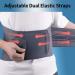 Lumbar Support Belt for Men and Women | 12 Stays, Extra-Wide Adjustable Back Brace for Lower Back Pain Relief | Large Size 39.3-51.1 inch | Pack of 1 - Buy Online on GoSupps.com