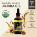 Naturise Organic Cold-Pressed Jojoba Oil for Skin and Hair Care - Unrefined, Unfiltered Golden Oil with Vitamins B & E - 4 fl. oz - Buy Online on GoSupps.com