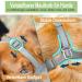 Breathable Mesh Dog Muzzle - Adjustable for Small Medium & Large Dogs | Prevents Biting Chewing & Barking - Gray (M) - Buy Online on GoSupps.com