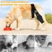 Dog Knee Brace Dog ACL Knee Brace Hind Leg Dog Leg Braces for Back Leg Cruciate Care Knee Brace for Supporting Dogs with Torn ACL Muscle Hind Leg Joint Discomfort (S) - Buy Online on GoSupps.com