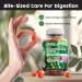 Clean Nutraceuticals Digestive Enzymes with Probiotics & Prebiotics for Digestive Health Gummies & L-Glutamine for Gut Health Bromelain Apple Pectin Inulin FOS Plant Based Vegan Gummy Vitamins 1 - Buy Online on GoSupps.com