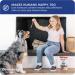 Downtown Pet Supply 12-inch Bully Sticks for Large Dogs Pack of 15 - Single Ingredient Rawhide Free Dog Chews for Aggressive Chewers - Nutrient-Rich and Odor Free Bully Sticks for Dogs - Beef - Buy Online on GoSupps.com