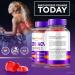 Ultra Quick Keto ACV Gummies - All Natural 1000MG Supplement | Premium Keto + ACV Formula | Official Reviews (60 Gummies - Buy Online on GoSupps.com