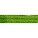 Vitakraft Crunch Sticks Rabbit Treat - Rabbit Chew Sticks for Dental Health - Wild Berry & Honey Flavor - Buy Online on GoSupps.com