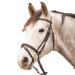 Star WALDHAUSEN Bridle Diamond Brown Warmblood