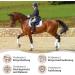 Esposita Elastic Lunging Aid Horse Pony Body Band Horses Floor Work Accessories Lunging Set Body Bandage Lunging System Training System - Buy Online on GoSupps.com