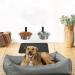 Elevated Dog Bowls 2*48 Oz - Wall Mounted Raised Stand for Medium Large Dogs - Adjustable Height Metal Pet Bowls - Stable & Comfortable Feeding - Collapsible Design - Buy Online on GoSupps.com