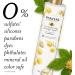 Pantene Nutrient Blends Fortifying Damage Repair Shampoo Sulfate Free 285 Ml - Buy Online on GoSupps.com