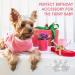 Buy Cobee Bling Dog Crown Hair Accessories | 4-Piece Rhinestone Dog & Cat Hair Clips - International Shipping Available - Buy Online on GoSupps.com
