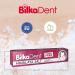 Bilkadent Himalaya Salt Toothpaste - Natural Fluoride-Free Mint Flavor | Complete Care 75ml | Made in Punjab Pakistan - Buy Online on GoSupps.com