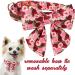 Unique Style Paws Adjustable Bowtie Dog Collar - Red Pink Peony Comfortable Cotton for Small Dogs XS 8-12in - Buy Online on GoSupps.com