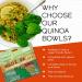 Wild Zora Organic Quinoa Bowls - Herb Roasted Chicken Flavor (3-Pack) | Gluten-Free, Quick & Tasty Meals with Lentils and Olive Oil | Pantry Staple Instant Meal Option - Buy Online on GoSupps.com