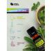 Wow Drops 0.338oz - Natural Energy and Focus Supplement - Buy Online on GoSupps.com