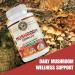 WHOLE WORLD WELLNESS All Natural Mushroom Complex 10 in 1 | Daily Immune & Energy Support | Lions Mane, Chaga, Resihi | Gluten Free, Dairy Free, Soy Free | 60 Capsules | Made in The USA. - Buy Online on GoSupps.com