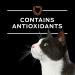 Purina Pro Plan Veterinary Diets NF Kidney Function Early Care Feline Formula Adult Dry Cat Food - 8 lb Bag - Buy Online on GoSupps.com