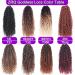 ZRQ 8 Packs Burgundy Goddess Locs Crochet Hair 24 Inch Ombre Boho Faux Locs Pre-Looped Hipple Locs Curly Soft Red River Locs Hair Extensions - Pack of 8 - Buy Online on GoSupps.com