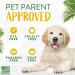 TropiClean Dog Shampoo Grooming Supplies - Hypoallergenic Puppy & Kitten Shampoo Gentle Cleansing for Sensitive Skin - Derived from Natural Ingredients - Used by Groomers - Gentle Coconut 355ml - Buy Online on GoSupps.com