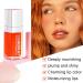 AIQIUSHA Lip Oil | Tinted Plumping & Hydrating Gloss | Long Lasting Color Reviver (Raspberry) - Nourishing Non-Sticky Formula for Luscious Lips - Buy Online on GoSupps.com