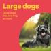 Bob Martin Clear Flea Treatment for Large Dogs - 3 Tablets | Kills 100% Fleas in 24 Hours | For Dogs over 11kg - Buy Online on GoSupps.com