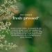 Fushi Organic Neem Oil 50ml - Untreated & Freshly Pressed for Itchy Scalp & Irritated Skin - Ethical Vegan Skincare Made in Britain - Buy Online on GoSupps.com