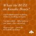 Bee Rx Rosacea Rescue With Natural Kanuka Honey - Redness Relief For Face Cream - Rosacea Treatment Moisturizer Skin Care Products - Buy Online on GoSupps.com