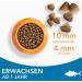 IAMS Dry Cat Food with Tuna - Nutrient-Rich Formula for Cats Aged 1-6 10 kg Pack - Buy Online on GoSupps.com