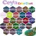 Ceya Chameleon Chunky Glitter 2.8oz/ 80g - Mermaid Color Shift Craft Glitter Powder - Iridescent Flakes for Epoxy Resin, Nail, Tumbler, Slime, Phone Case, Party Decor - Jewelry Making - Buy Online on GoSupps.com