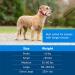 PetSafe Gentle Leader Headcollar - No-Pull Dog Collar for Easy Leash & Harness Training - Buy Online on GoSupps.com