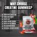 Ekkovision Creatine Monohydrate Gummies for Men and Women Orange Citrus Flavor Sugar Free Creatine Gummies for Pre Workout Muscle Strength and Recovery Vegan & Travel Friendly 300 Ct 60 Servings Strawberry 60 Count (P  - Buy Online on GoSupps.com