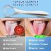 Buy Srnede Stainless Steel Tongue Scrapers for Adults - Fresh Breath Oral Care Aids - 2 Pack with Travel Case - Buy Online on GoSupps.com
