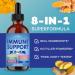 NEW AGE 8-in-1 Immune Support Liquid Drops Elderberry Turmeric Curcumin Echinacea Ginger Vitamins C & D3 Zinc & B6 Fast-Absorbing Immune & Antioxidant Support Vegan Non-GMO 4 oz 2 Fl Oz (Pack of 2) - Buy Online on GoSupps.com