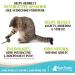 Raw Paws Catnip Lollipop (6-Pack) - Catnip Toys for Indoor Cats - Catnip Ball, Silvervine & Matatabi Stick for Cats - Buy Online on GoSupps.com