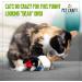 Pet Craft Supply Cat Toys 2 Pack - Interactive and Durable - Buy Online on GoSupps.com