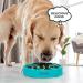 Euroca Feeder Slow Dog Bowl Slow Feeders Bowls Dish for Medium & Large Dogs Maze Interactive Puzzle Bowls Prevents Canine Obesity & Bloat Anti-Choking Dog Bowl (Blue Large) Large Blue - Buy Online on GoSupps.com