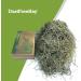 Lunnun Trading & Sales LTD Timothy Hay Premium Quality Dust-Free Green 100% Natural Timothy Hay for Rabbits Guinea Pigs Hamsters and all Small Animals - 5 KG 5.00 kg (Pack of 1) - Buy Online on GoSupps.com