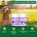 Biteback Products Sweet Relief - Dog Skin Cream & Paw Balm (100g) - Buy Online on GoSupps.com