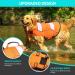 Buy Cit toile Adjustable Dog Life Jacket - Buoyant Sports Swim Vest for Small Medium & Large Dogs - Ideal for Safe Swimming - Buy Online on GoSupps.com