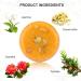 PHOGARY 2PCS Shampoo Bar Hair Soap Various Fragrances Natural Plant Essence Shampoo for Dry and Damaged Hair (Jasmine + Honey) - Buy Online on GoSupps.com