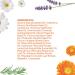 Bio-Oil Skincare Body Oil Serum - 6.7 oz for Scars, Stretchmarks, and Hydration - Buy Online on GoSupps.com